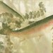 River Dreams- Limited edition reproduction of rainbow trout gyotaku