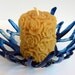Fused Glass Coral Dish in Adventurine Blue