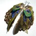 SALE Feather Earrings. Peacock & Pheasant Feathers. Nazar Boncugu