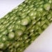 Green Grapes Napkins / Fruits of the Vine Green Grapes Graphic Cotton Fabric Set of 4