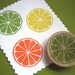 Citrus Slice Rubber Stamp Hand Carved Lemon Lime Orange