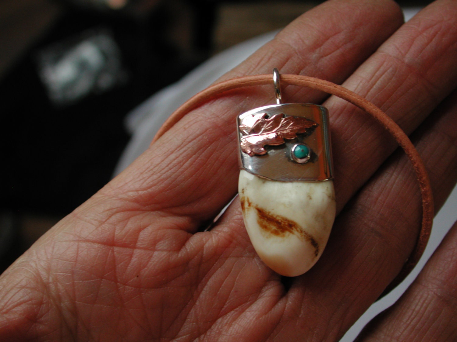 Sterling Capped Elk Tooth Pendant