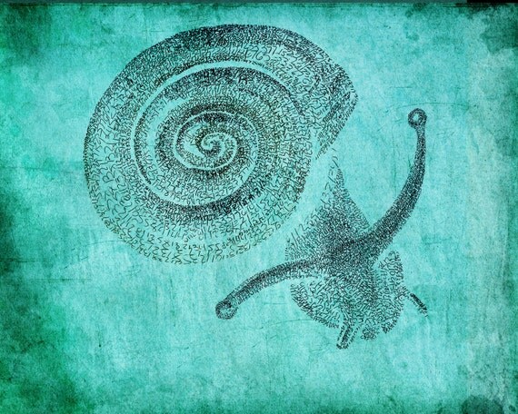 Fibonacci's Snail Aqua 20 x 24 Drawn with Math and