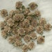 36 pc Fabric Flower Applique Baby Doll Gold Ribbon Carnation Cabbage Rose Christmas Hair Bow
