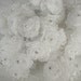 Fabric Flower Beaded Applique 36p Ivory Organza Ribbon Wired w rhinestone Doll Bridal Wedding Favor Bow Hair Accessory