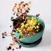 Aqua Stoneware Planter Four by Six and a Half Inches