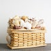 Vintage Rattan Trunk of Shells - Instant Collection