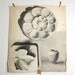 Large Antique Art School Watercolor