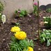 Garden and Patio Citronella Jumbo Incense Sticks -16 stick pack- Keep the Buggies at Bay