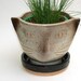 Siamese Cat Planter