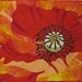 Modern Quilted Poppy Wallhanging