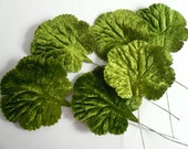 Vintage Moss Green Velvet Geranium Leaves - papertales