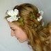 dogwood - a woodland vine hair wreath