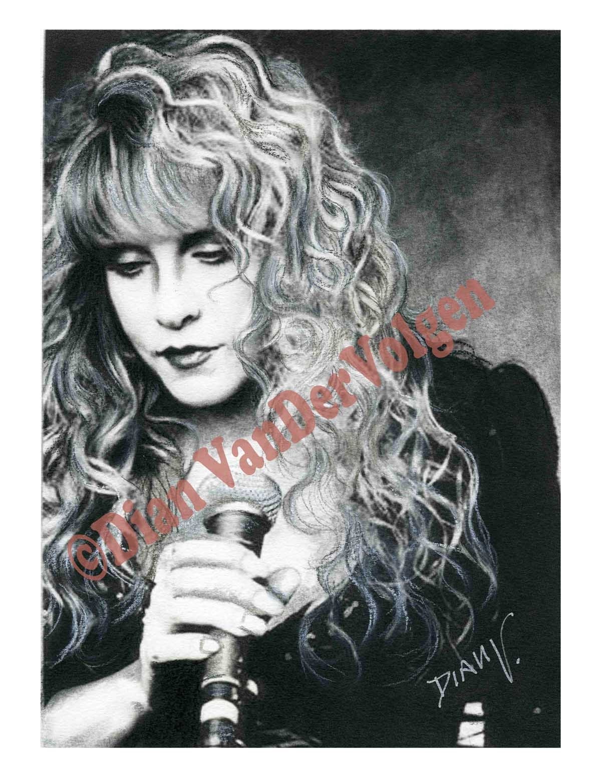 Stevie Nicks. Charcoal Drawings Limited Edition Print of