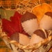 Acorn Bowl fillers Ornies