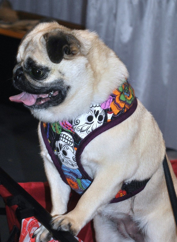 Items similar to Custom Comfort Dog Harness on Etsy