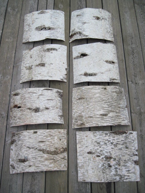 Birch Bark 3 sheets crafts decorations rustic natural bark