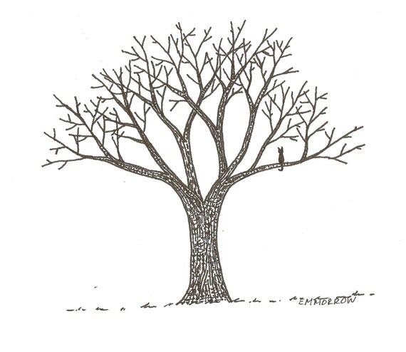 Minimalist Cat Tree | cat in a tree minimalist pen and ink drawing original e m Minimalist Cat Tree | cat in a tree minimalist pen and ink drawing original e m