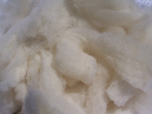 cotton wool stuffing