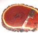 Bark edge Mesquite log end cheese cutting board