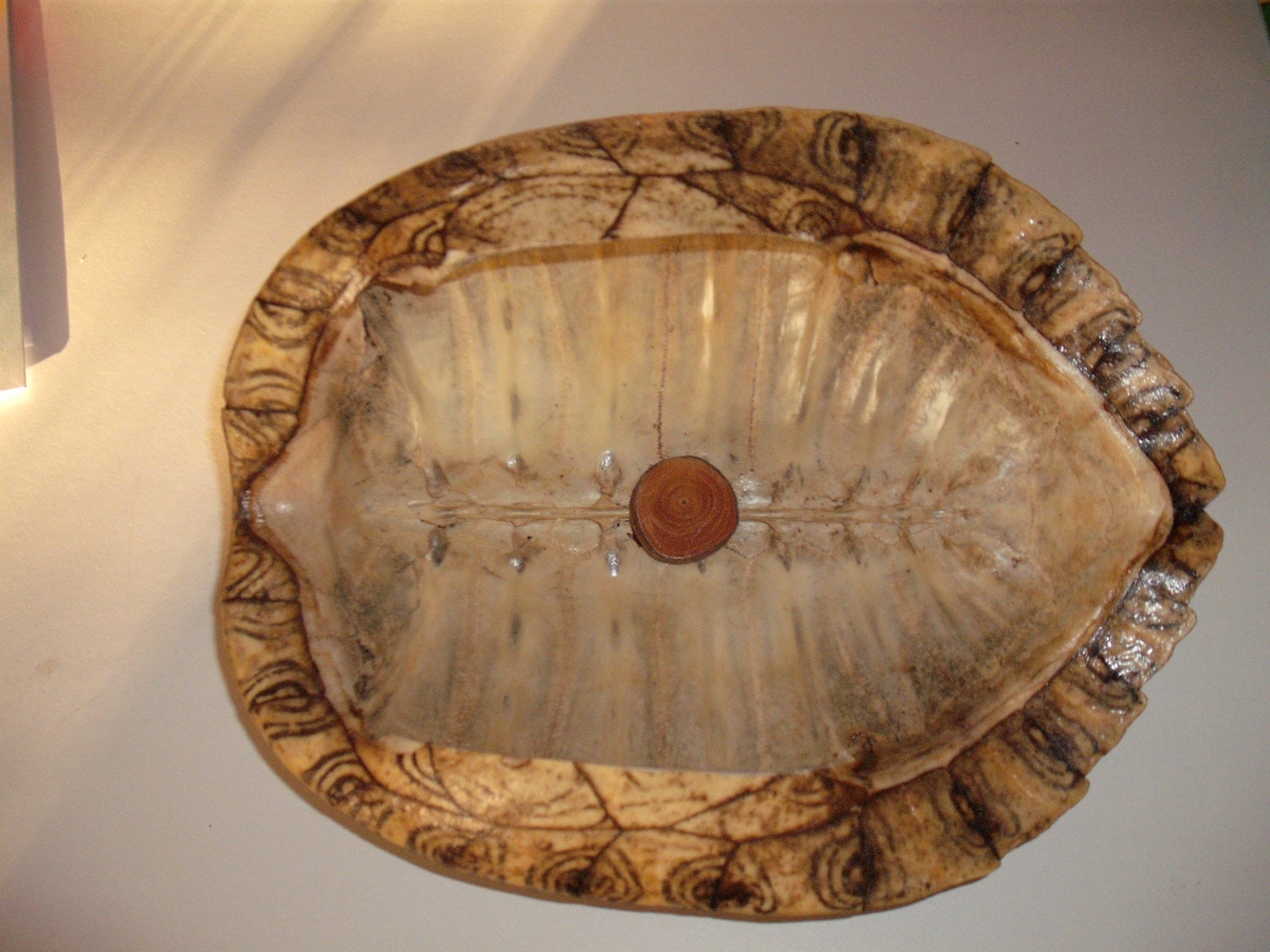 Turtle Shell Bowl