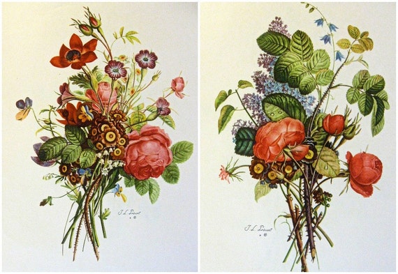 vintage etchings BOTANICAL Bouquets Jean Louis Prevost set