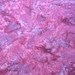Berry Purple Batik Fabric by Avlyn