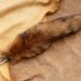 Fox tail - Real red fox fur totem dance tail on extra strong carabiner keychain for shamanic ritual and dance RF08