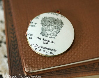 Sea Anemone Necklace, Vintage Locket, Dictionary Illustration - Ready to Ship