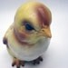Disgruntled chicken