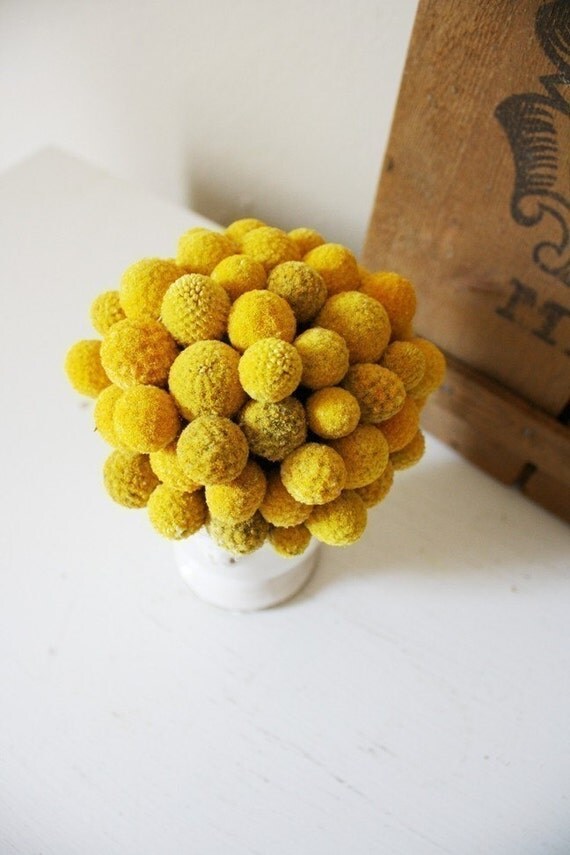 petite craspedia topiary dried flower arrangement