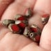 EARTHY REDS .. Picasso Glass Czech Beads 8x6mm (2079-10)