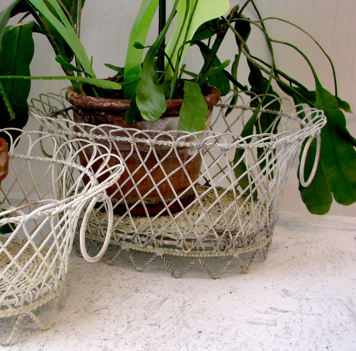 Vintage Wire Planter Woven and twisted Metal Basket by BeeJayKay