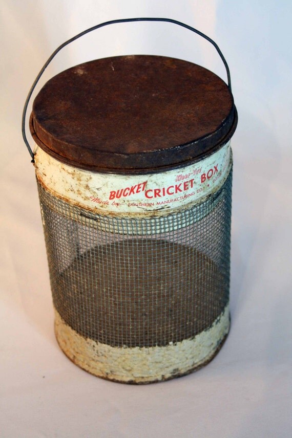 Vintage Fishing Cricket Bucket