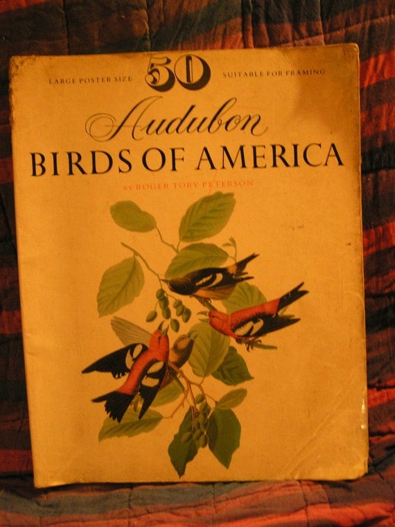 AUDUBON BIRDS of AMERICA by Roger Tory Peterson