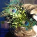 Fascinator Burlesque Fantasy with Peacock, Rooster, and Hackle feathers in Black and Green Hair Clip