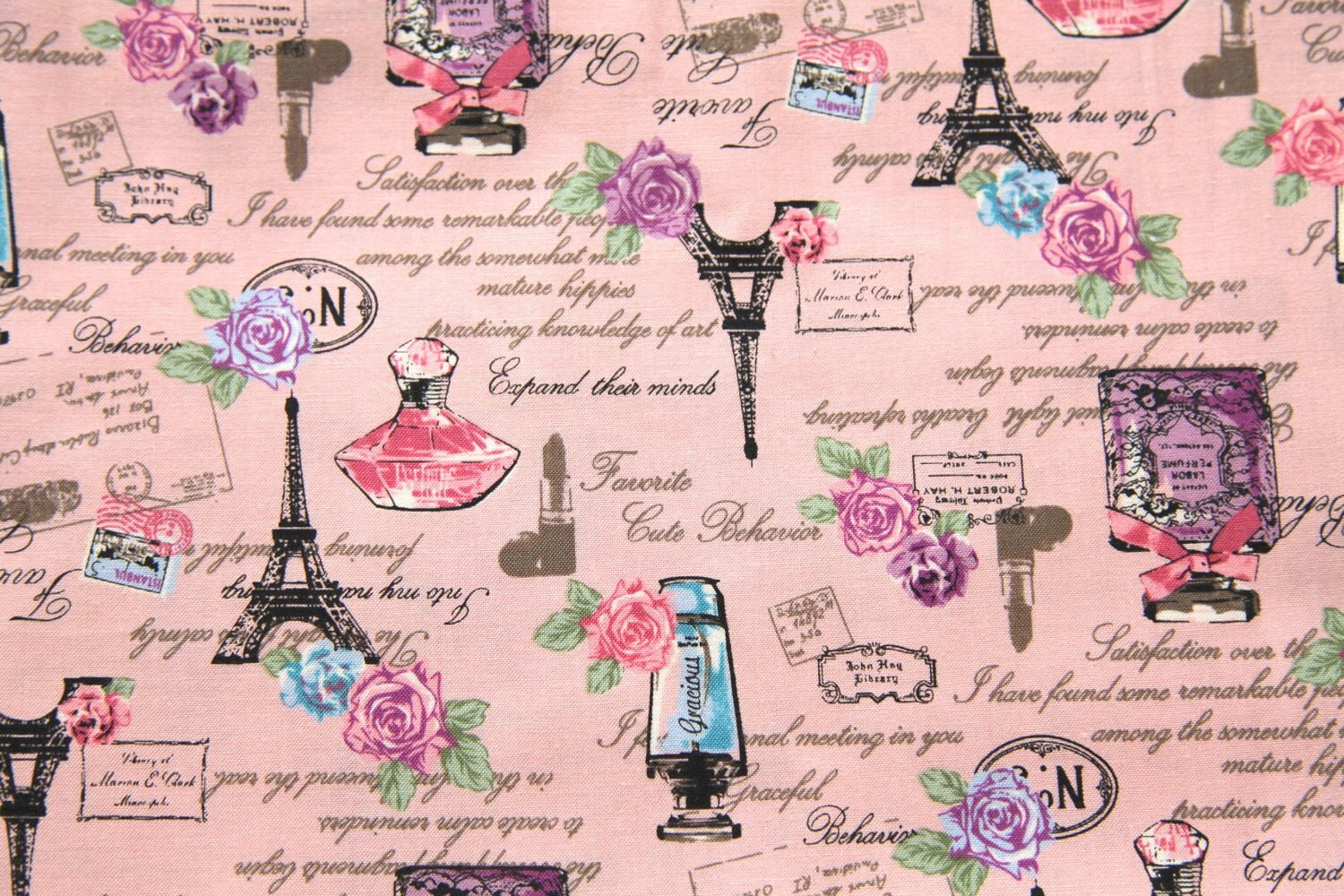 Paris theme Print Japanese fabric half yard B