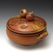 Acorn-Topped Casserole