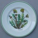 Wild Flowers Tiffany and Co. Salad Plate