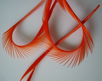 GOOSE BIOT Feathers, Carrot Orange / 721 / BOGO