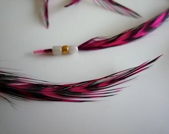 VOGUE FEATHERS LOOSE, Grizzly, hackle, striped , fuchsia, 24 pieces / 940