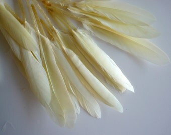 LOOSE BABY DUCK Feathers, Perfect for Beginners, Cream, Bone / 903