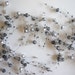 BEAD GARLAND Platinum Grey / 631 / Clearance
