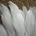 GOOSE FEATHER FRINGE, Off White / 824 / On Sale