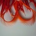 GOOSE BIOT FEATHERS, Carrot Orange / 721 / dnr