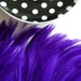 VOGUE COQUE HACKLE / Violet Purple / 242 / On Sale