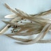 COQUE TAIL FEATHERS Loose / Taupe, Beige / 204
