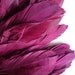 VOGUE GOOSE FRINGE, Exclusive Quality, True Burgundy , Wine Red 779