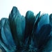 VOGUE GOOSE FEATHER Fringe, Peacock, Dark Teal Blue / 823