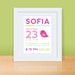 Custom Birth Announcement Print - BIRD Wall art